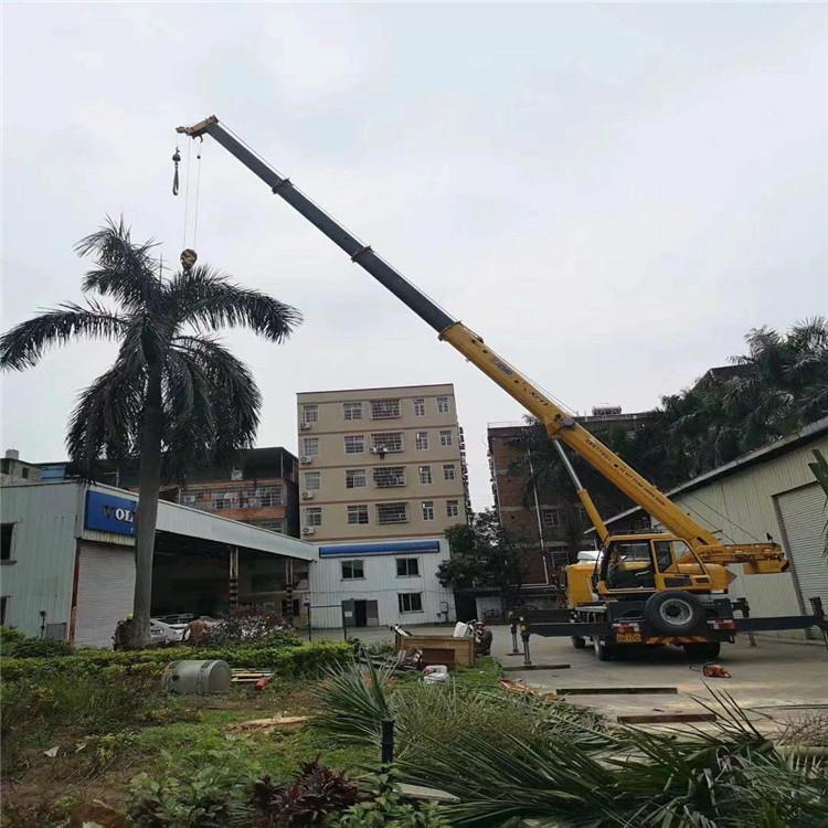 靖西吊车吊大树几种方法